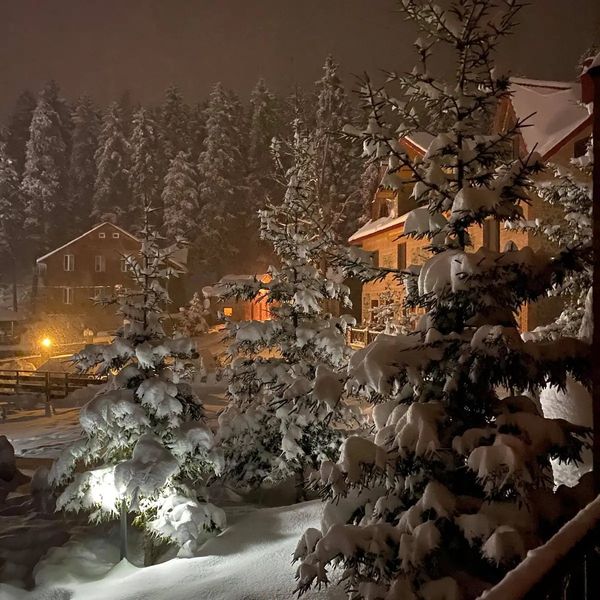 შვიდსაძინებლიანი კოტრეჯი ბაკურიანში K-5-7A-1